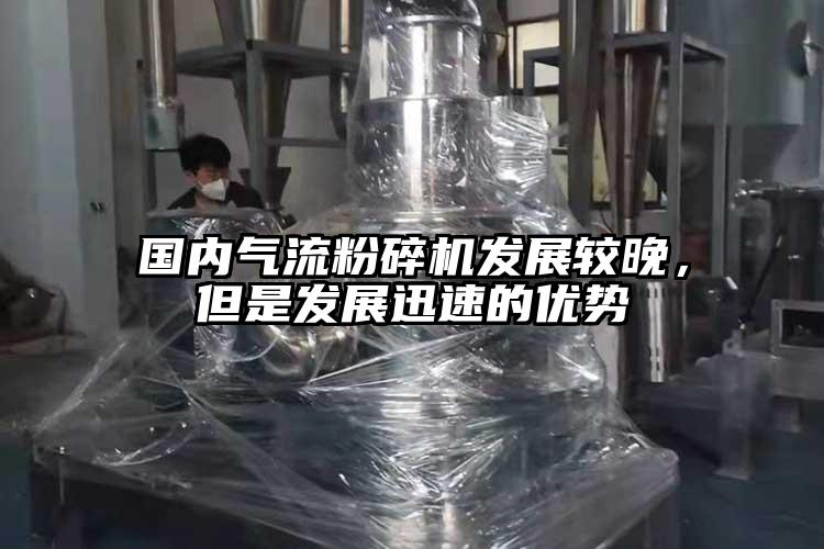 國內91麻豆视频网站發展較晚，但是發展迅速的優勢