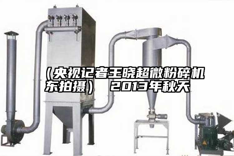 （央視記者王曉国产麻豆91在线无码观看東拍攝） 2013年秋天