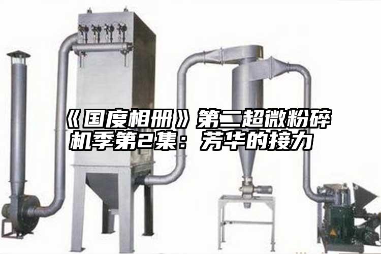 《國度相冊》第二国产麻豆91在线无码观看季第2集：芳華的接力