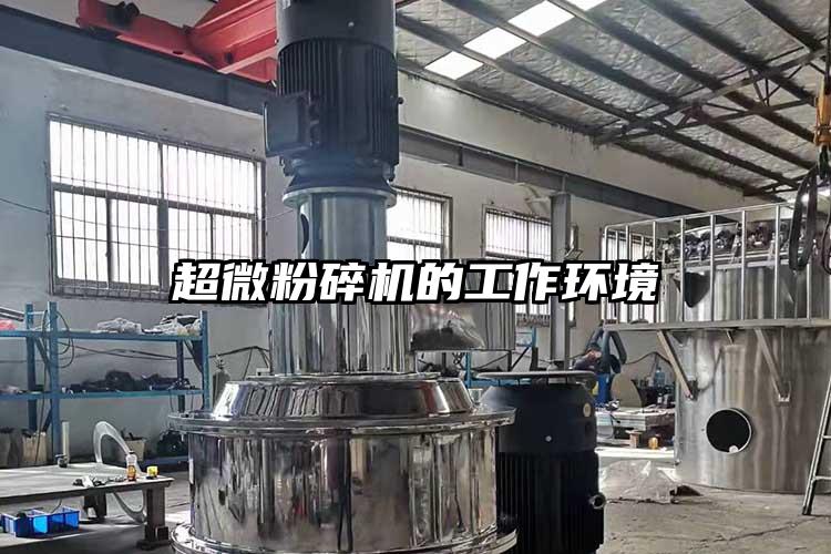 国产麻豆91在线无码观看的工作環境