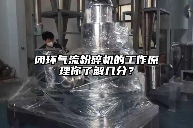 閉環91麻豆视频网站的工作原理你了解幾分？