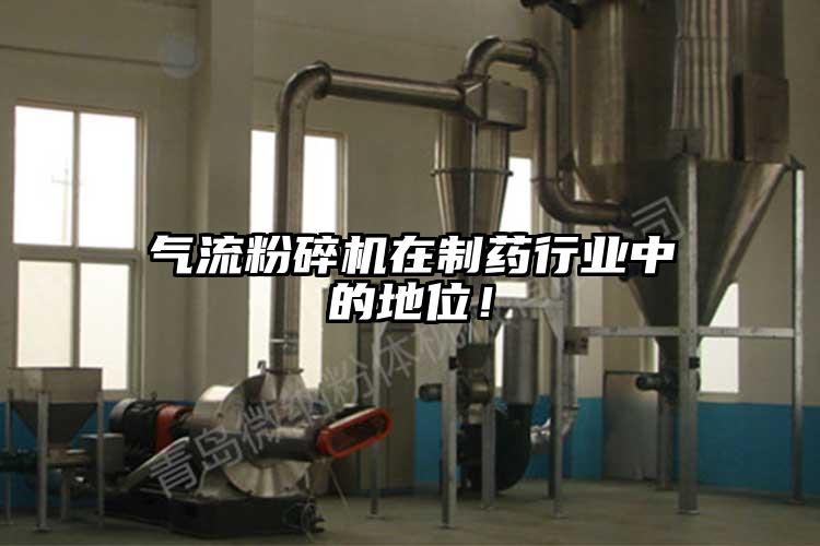 91麻豆视频网站在製藥行業中的地位！