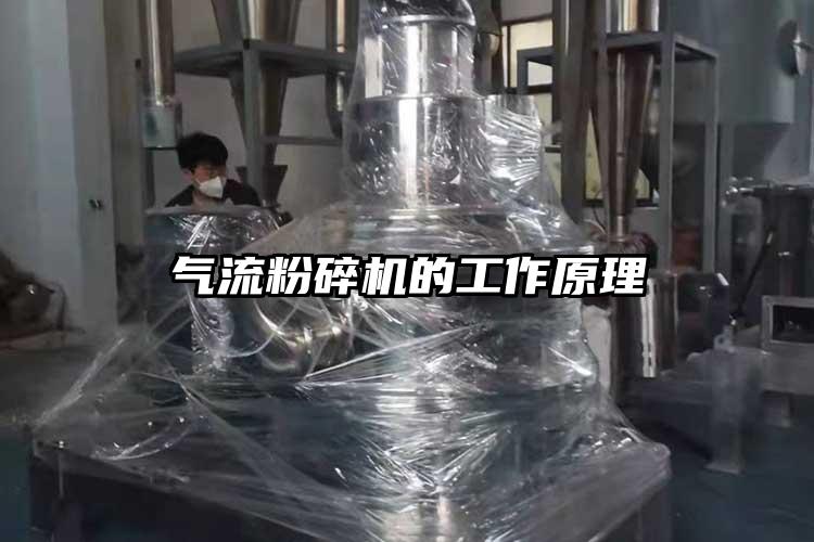 91麻豆视频网站的工作原理