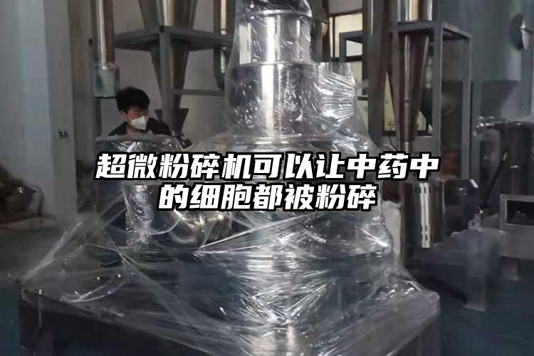 国产麻豆91在线无码观看可以讓中藥中的細胞都被粉碎