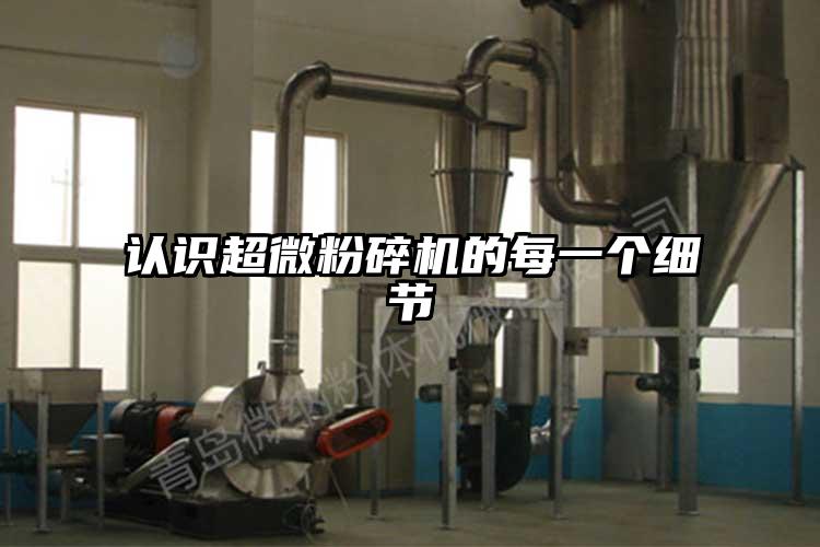 認識国产麻豆91在线无码观看的每一個細節
