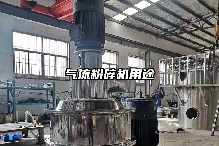 91麻豆视频网站用途